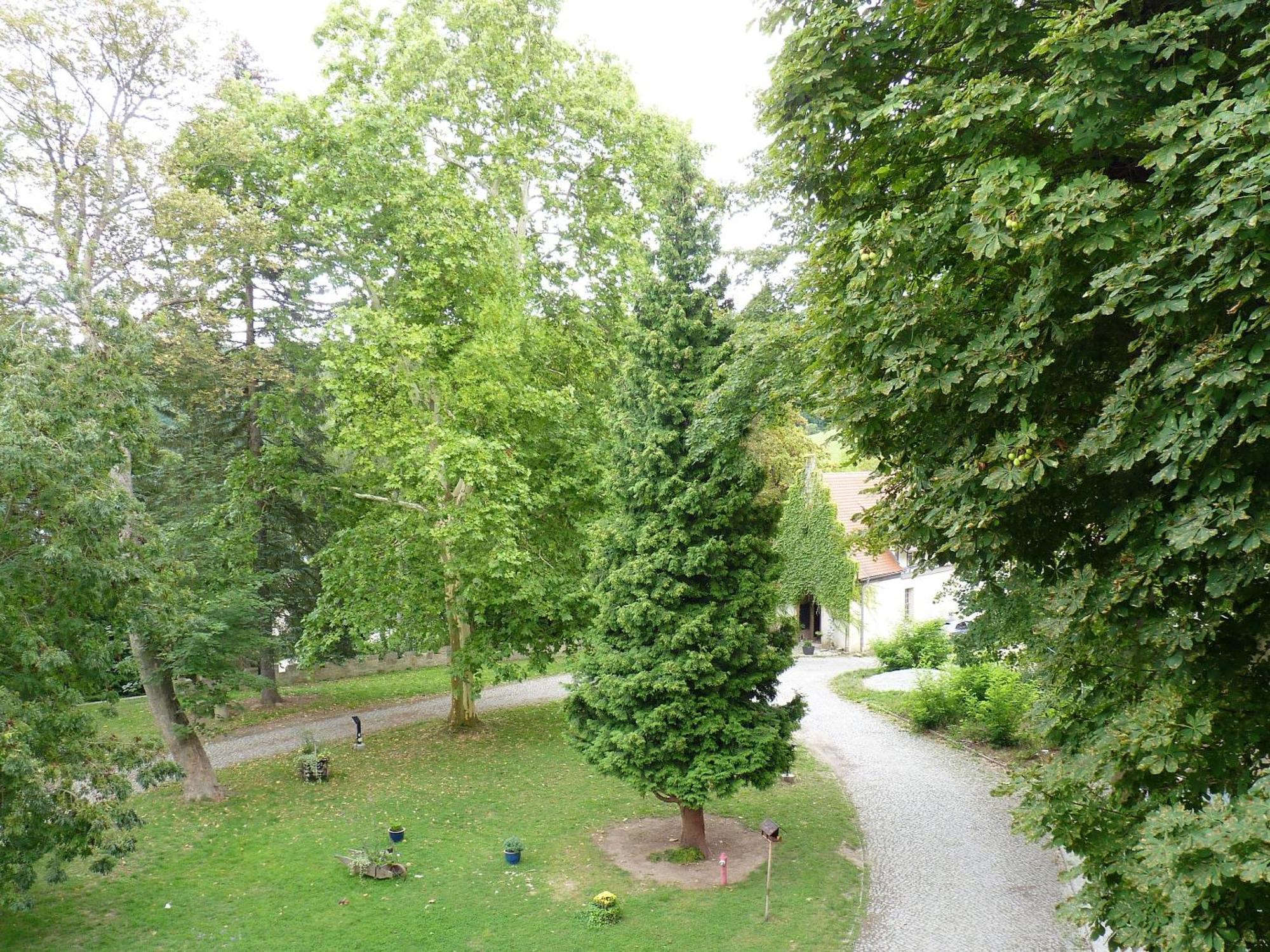 Hotel & Restaurant Schloss Weissenburg Uhlstädt Pokoj fotografie