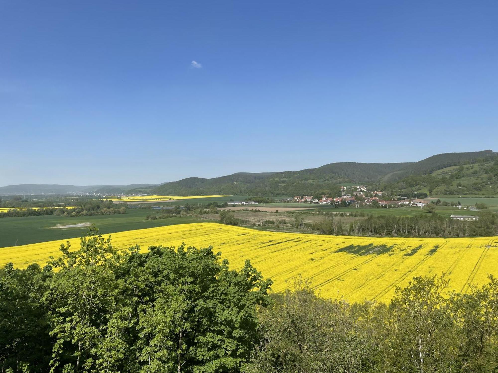 Hotel & Restaurant Schloss Weissenburg Uhlstädt Pokoj fotografie