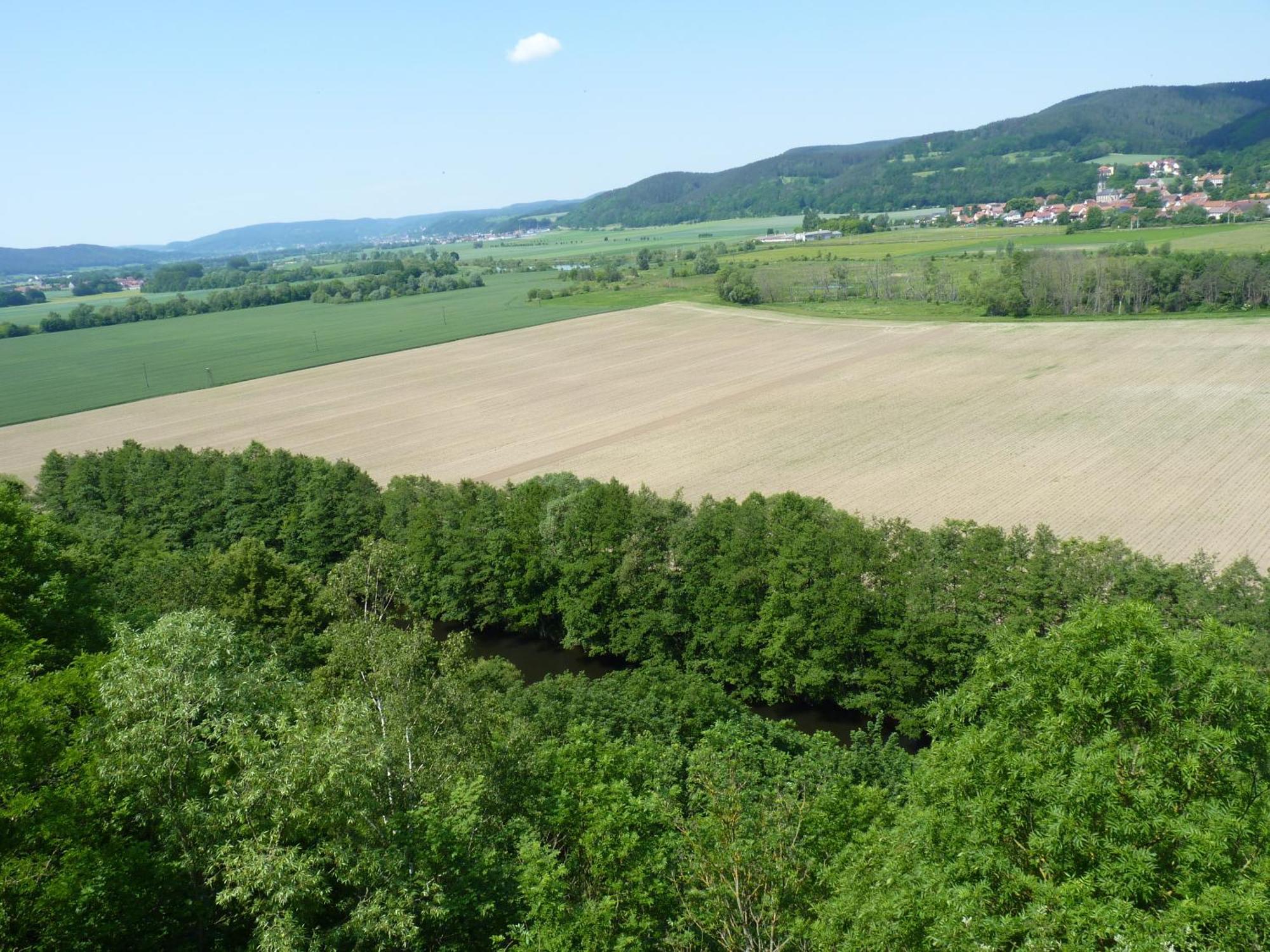 Hotel & Restaurant Schloss Weissenburg Uhlstädt Pokoj fotografie